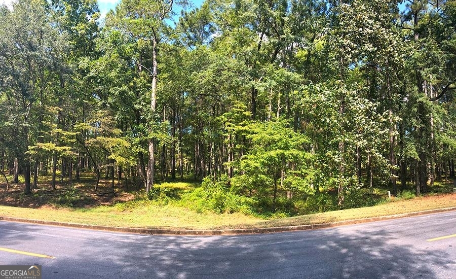 1580 Club Drive Greensboro GA 30642