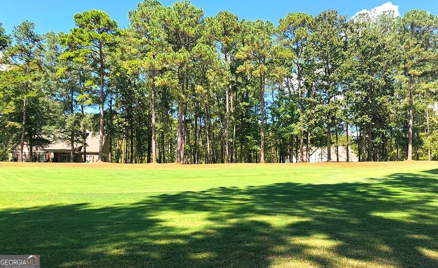 1580 Club Drive Greensboro GA 30642