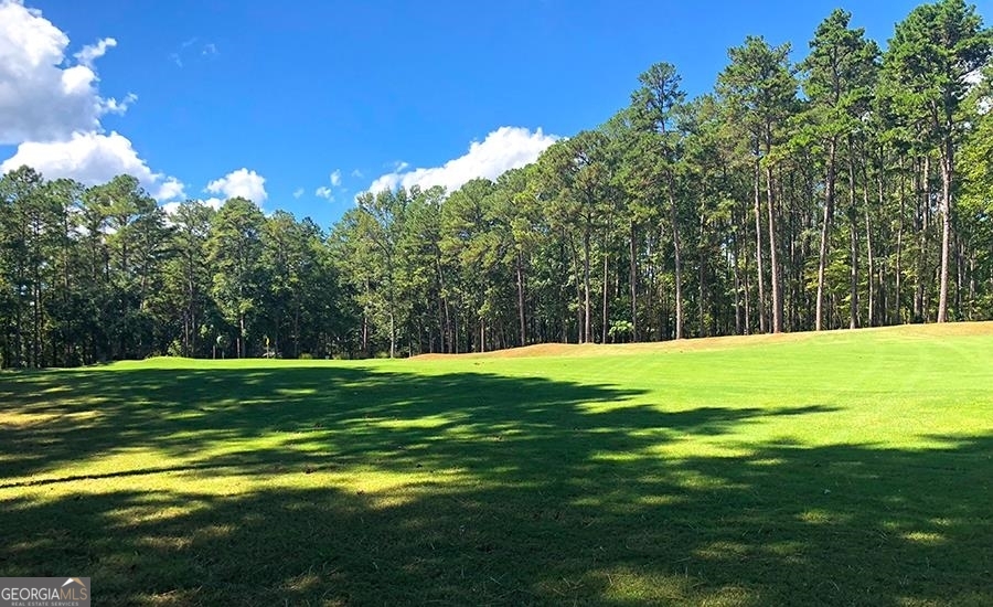 1580 Club Drive Greensboro GA 30642