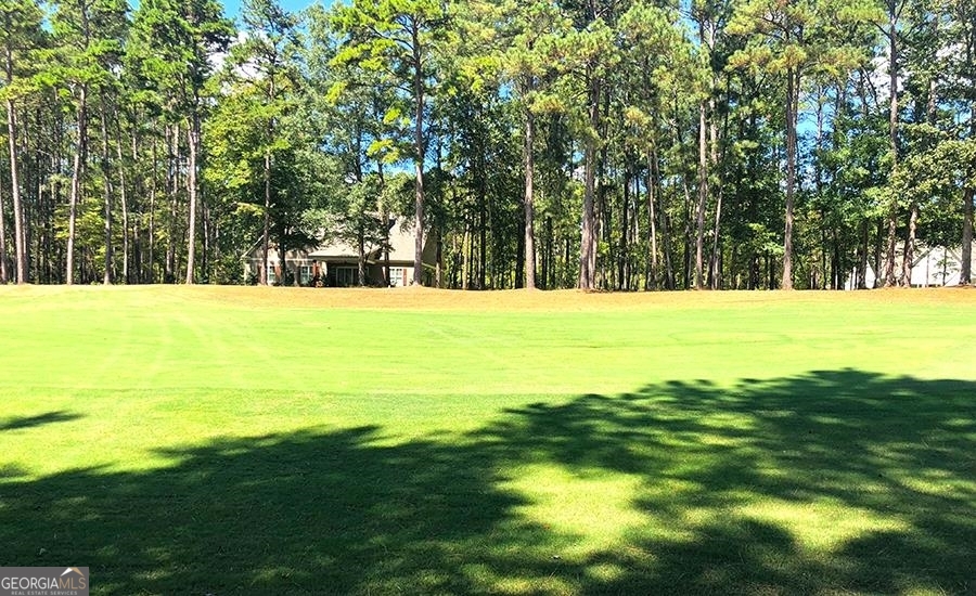 1580 Club Drive Greensboro GA 30642