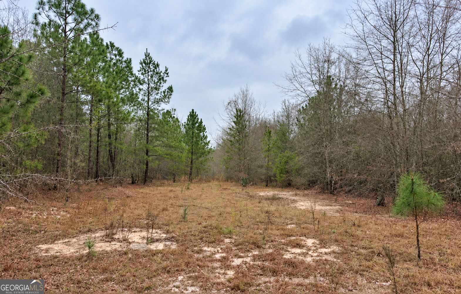 440 Modoc Road Swainsboro GA 30401
