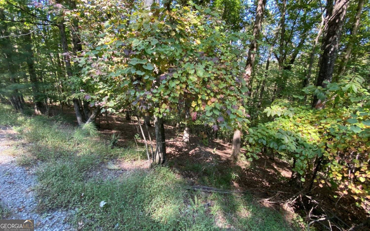 266 Myna Drive Ellijay GA 30540