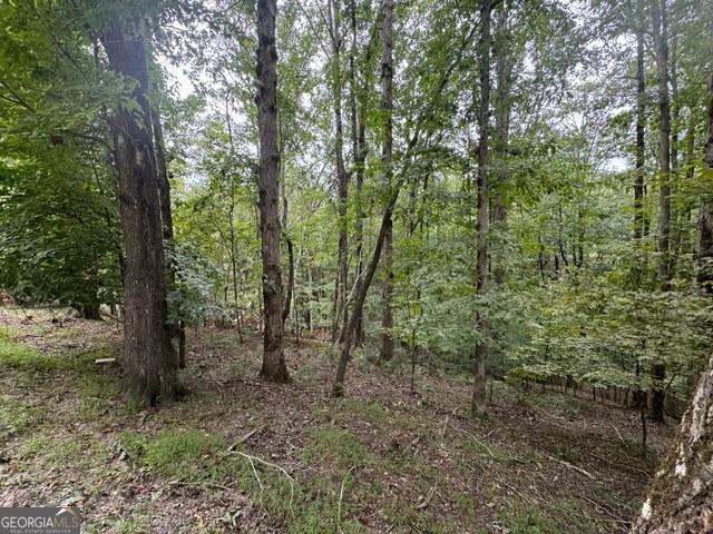 266 Myna Drive Ellijay GA 30540