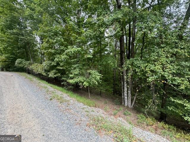 266 Myna Drive Ellijay GA 30540