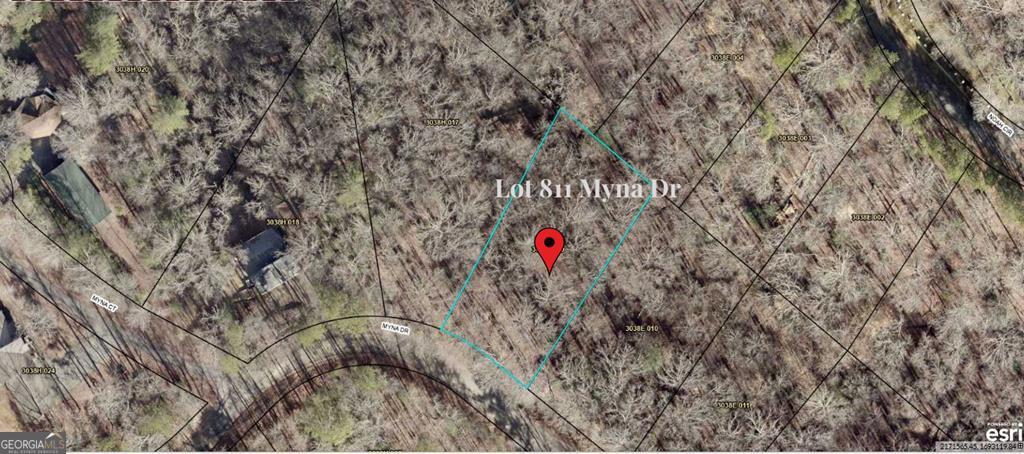 266 Myna Drive Ellijay GA 30540