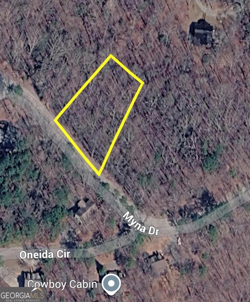 266 Myna Drive Ellijay GA 30540