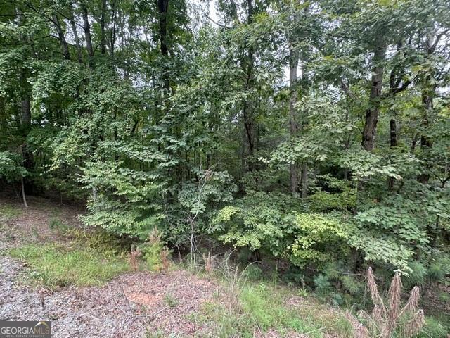 266 Myna Drive Ellijay GA 30540