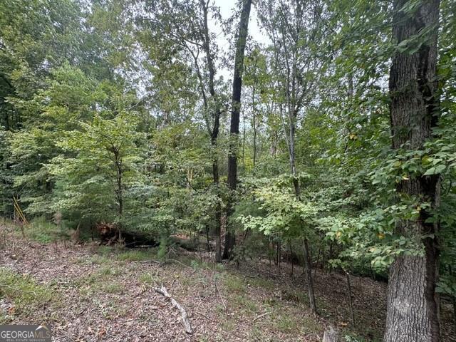 266 Myna Drive Ellijay GA 30540