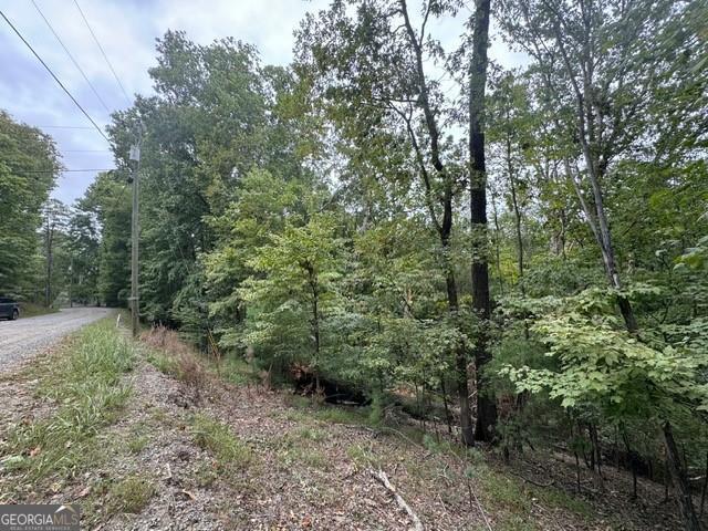 266 Myna Drive Ellijay GA 30540
