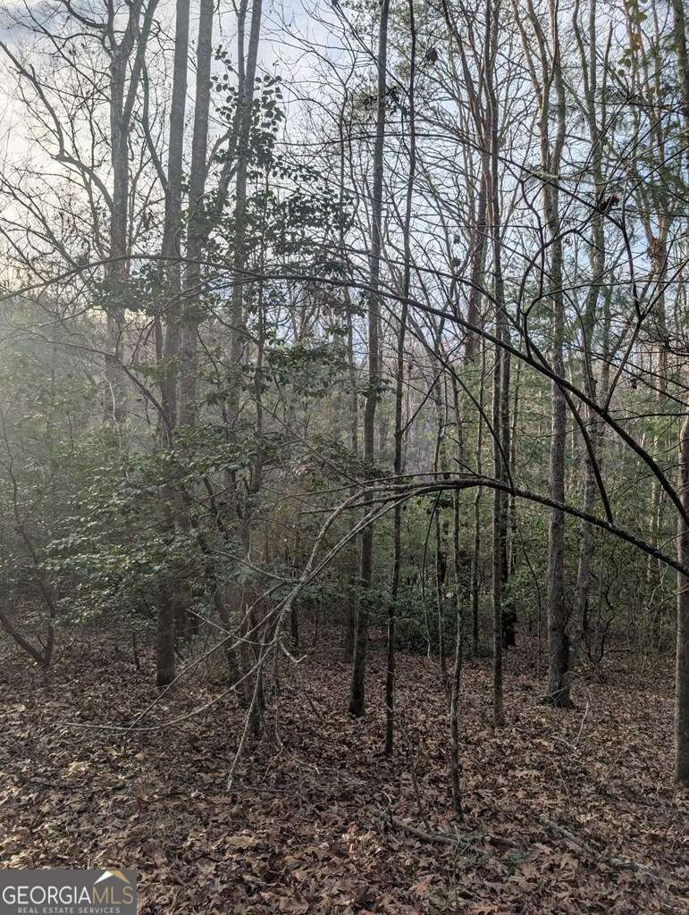 193 Opossum Road Blairsville GA 30512