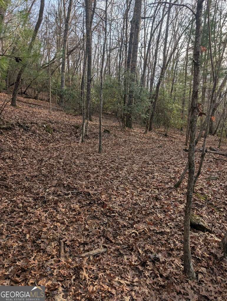 193 Opossum Road Blairsville GA 30512