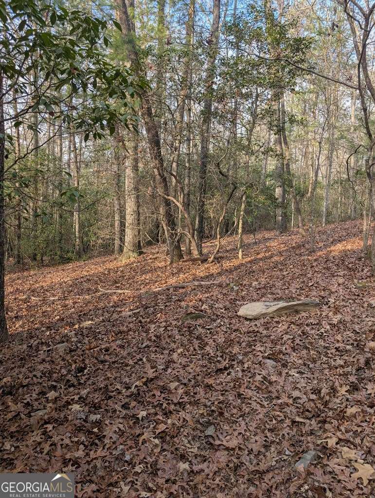 193 Opossum Road Blairsville GA 30512