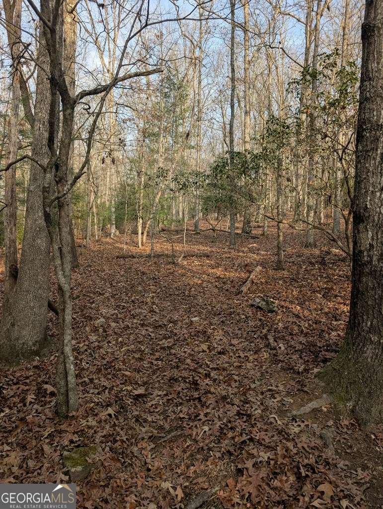 193 Opossum Road Blairsville GA 30512