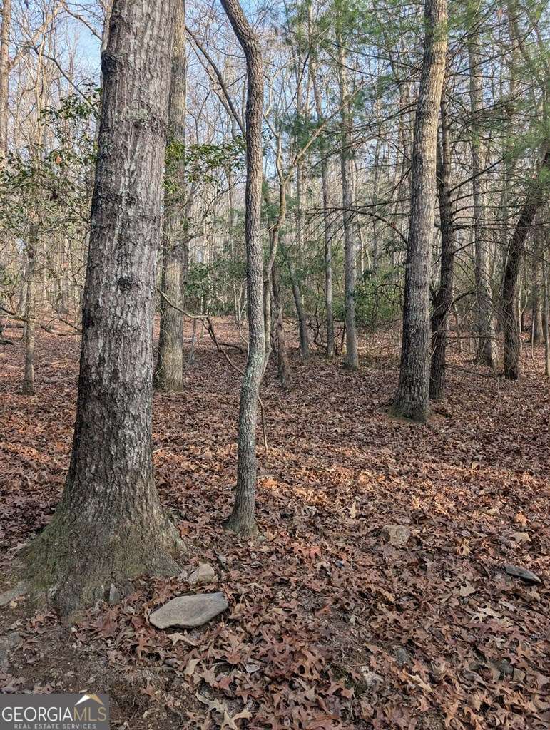 193 Opossum Road Blairsville GA 30512