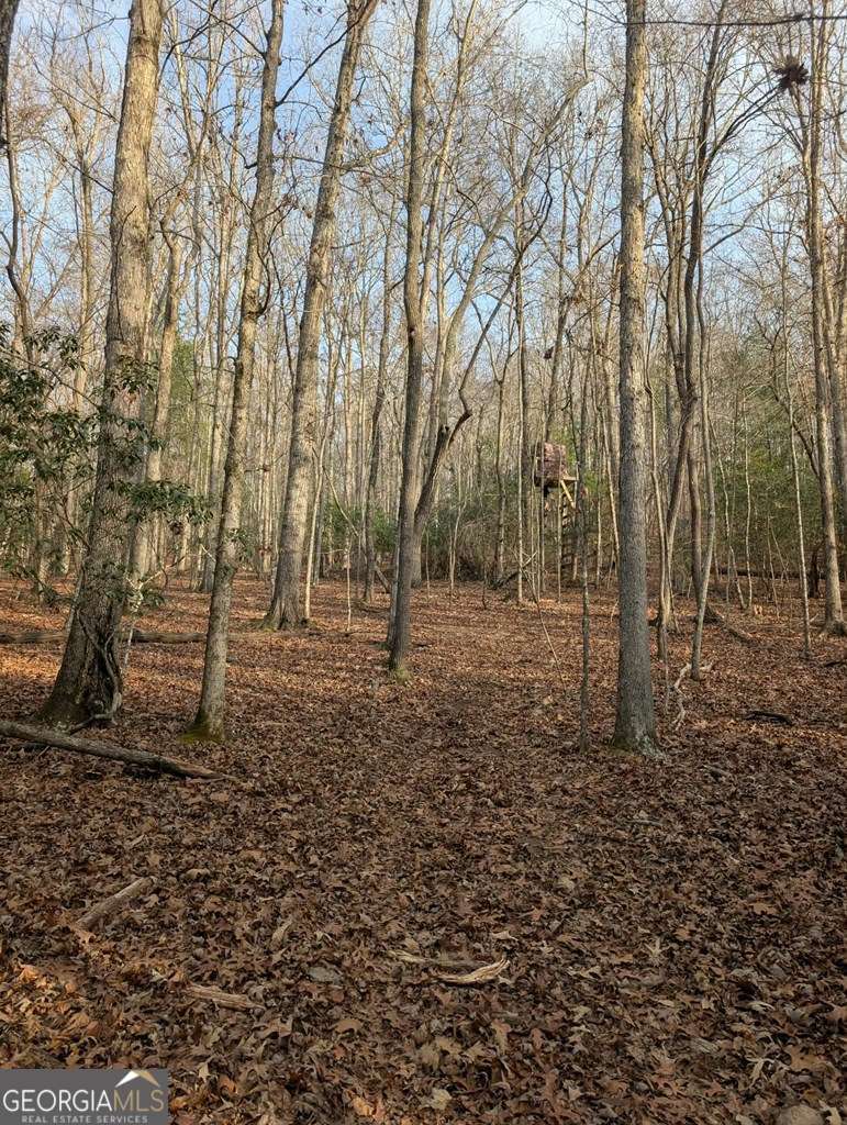 193 Opossum Road Blairsville GA 30512