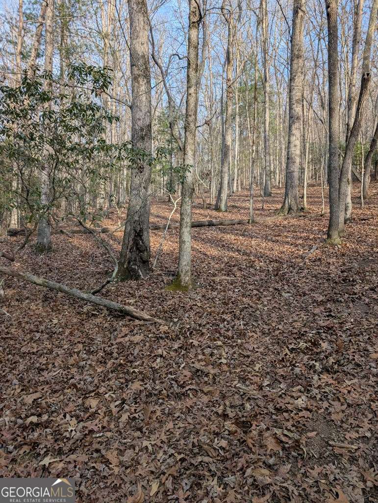 193 Opossum Road Blairsville GA 30512