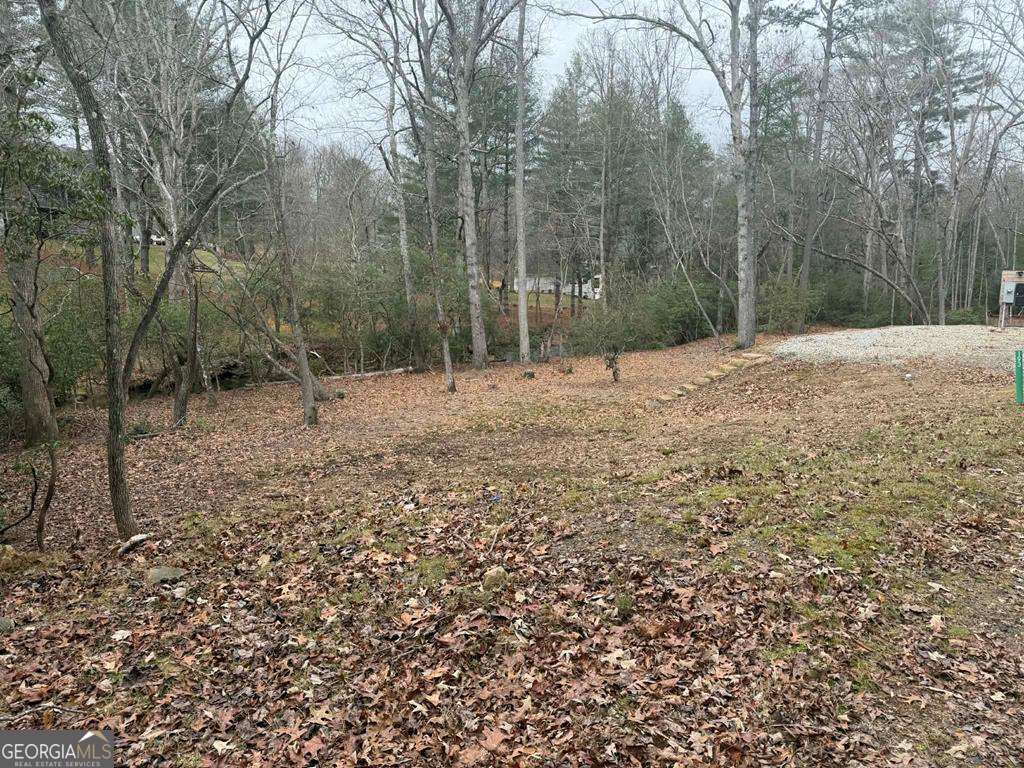 193 Opossum Road Blairsville GA 30512