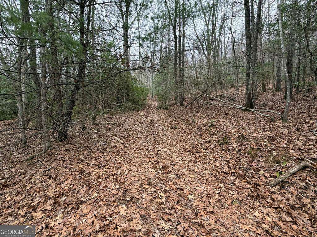 193 Opossum Road Blairsville GA 30512