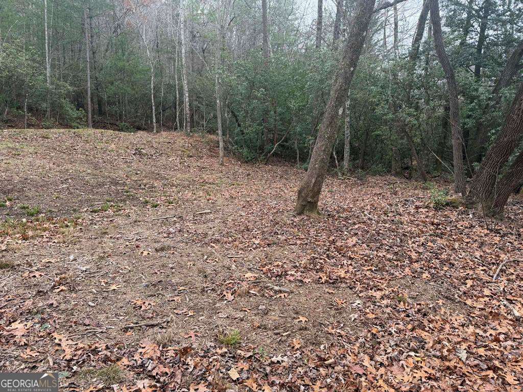 193 Opossum Road Blairsville GA 30512