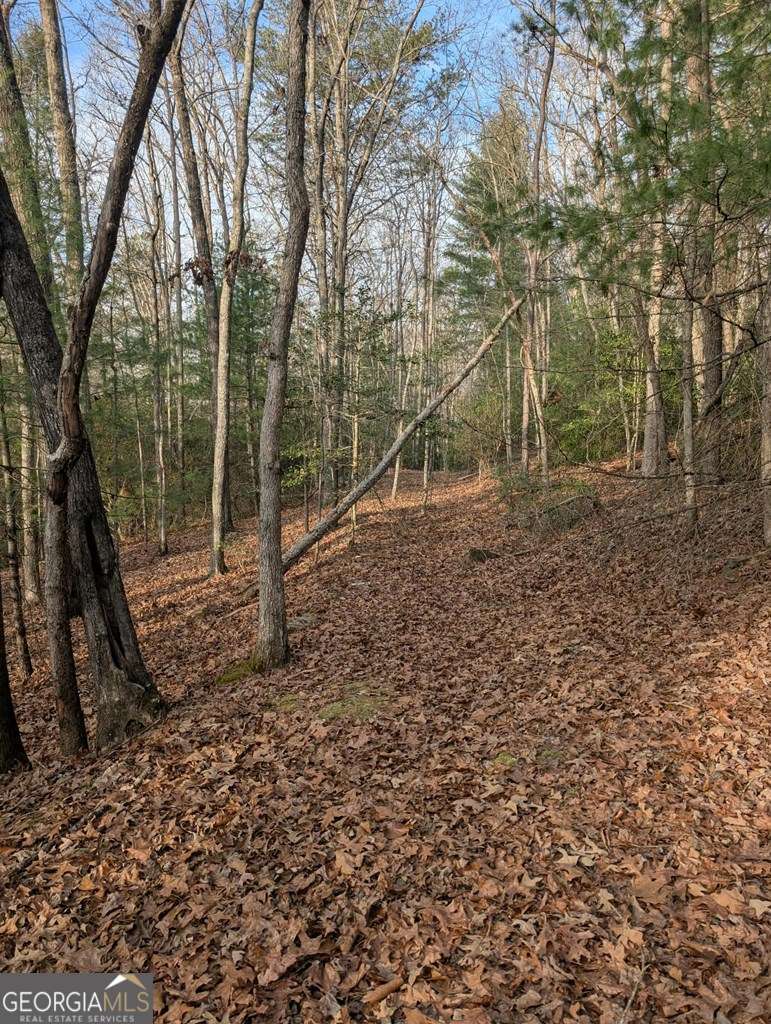 193 Opossum Road Blairsville GA 30512