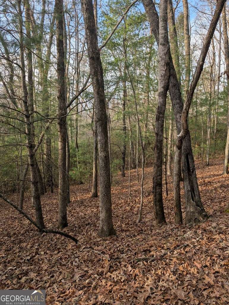193 Opossum Road Blairsville GA 30512