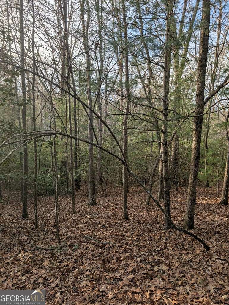 193 Opossum Road Blairsville GA 30512