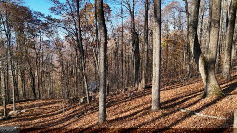 Lot 11 Mountainside Drive Cleveland GA 30528