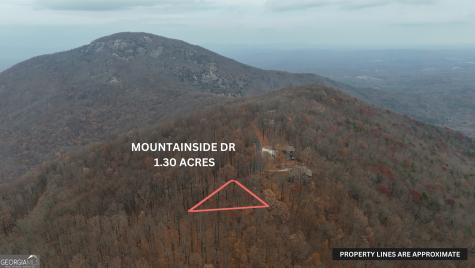Lot 11 Mountainside Drive Cleveland GA 30528