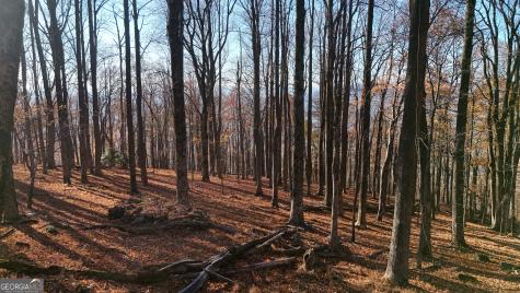 Lot 11 Mountainside Drive Cleveland GA 30528