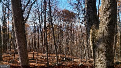 Lot 11 Mountainside Drive Cleveland GA 30528
