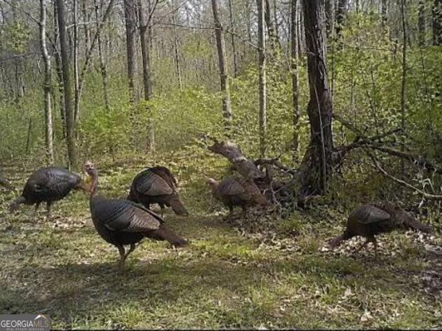 0 Ellis Church Road Haddock GA 31033