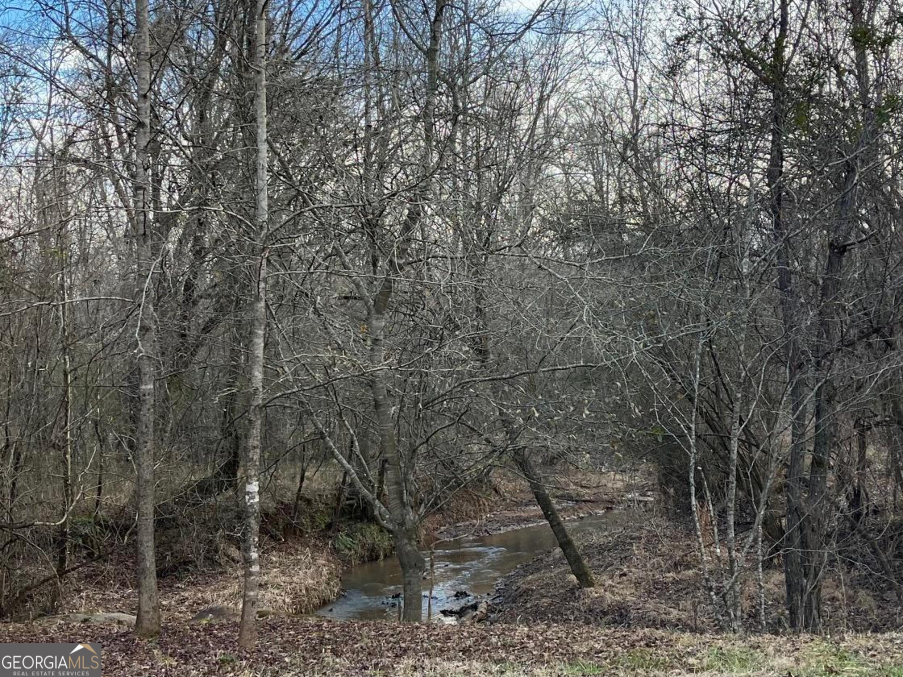 0 Ellis Church Road Haddock GA 31033