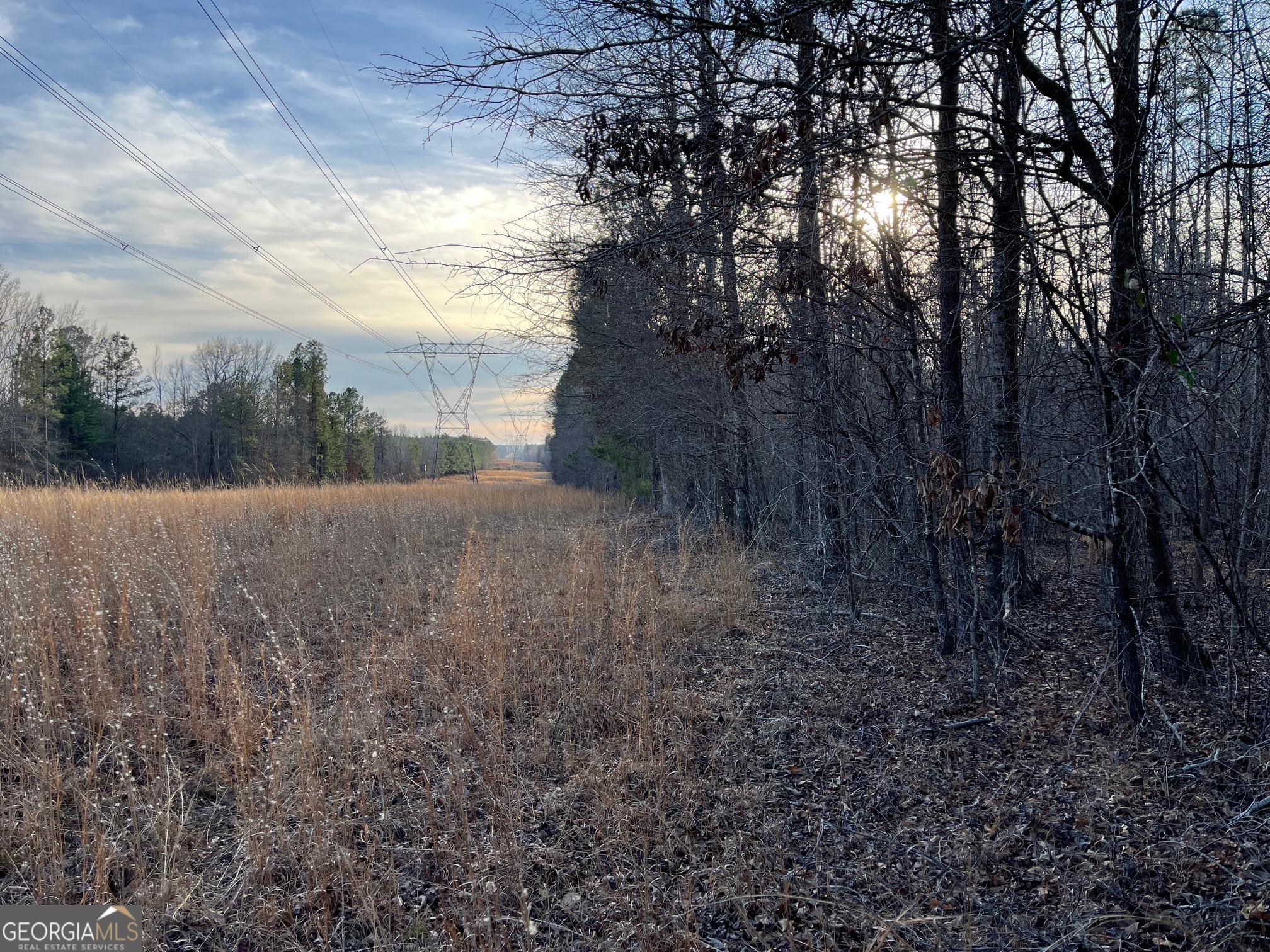 0 Ellis Church Road Haddock GA 31033