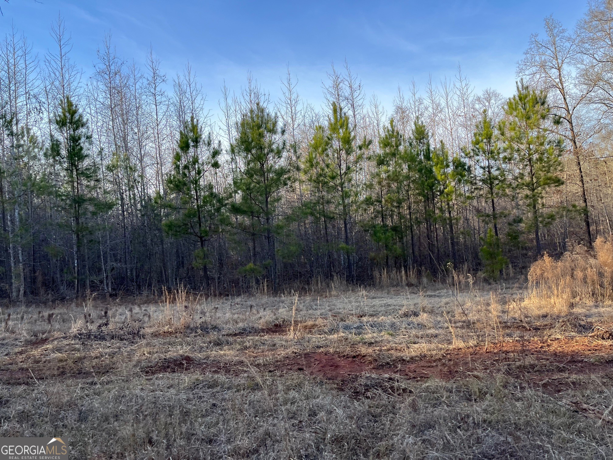 0 Ellis Church Road Haddock GA 31033