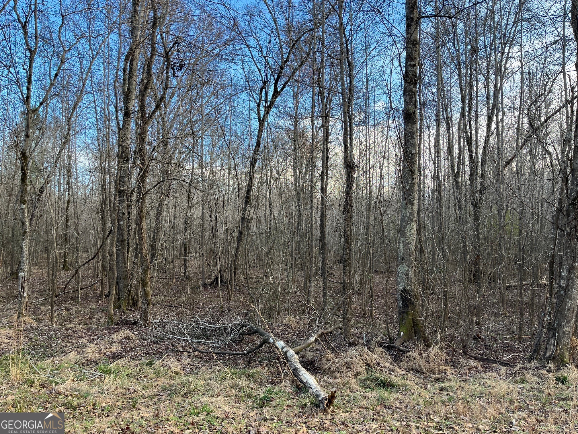 0 Ellis Church Road Haddock GA 31033