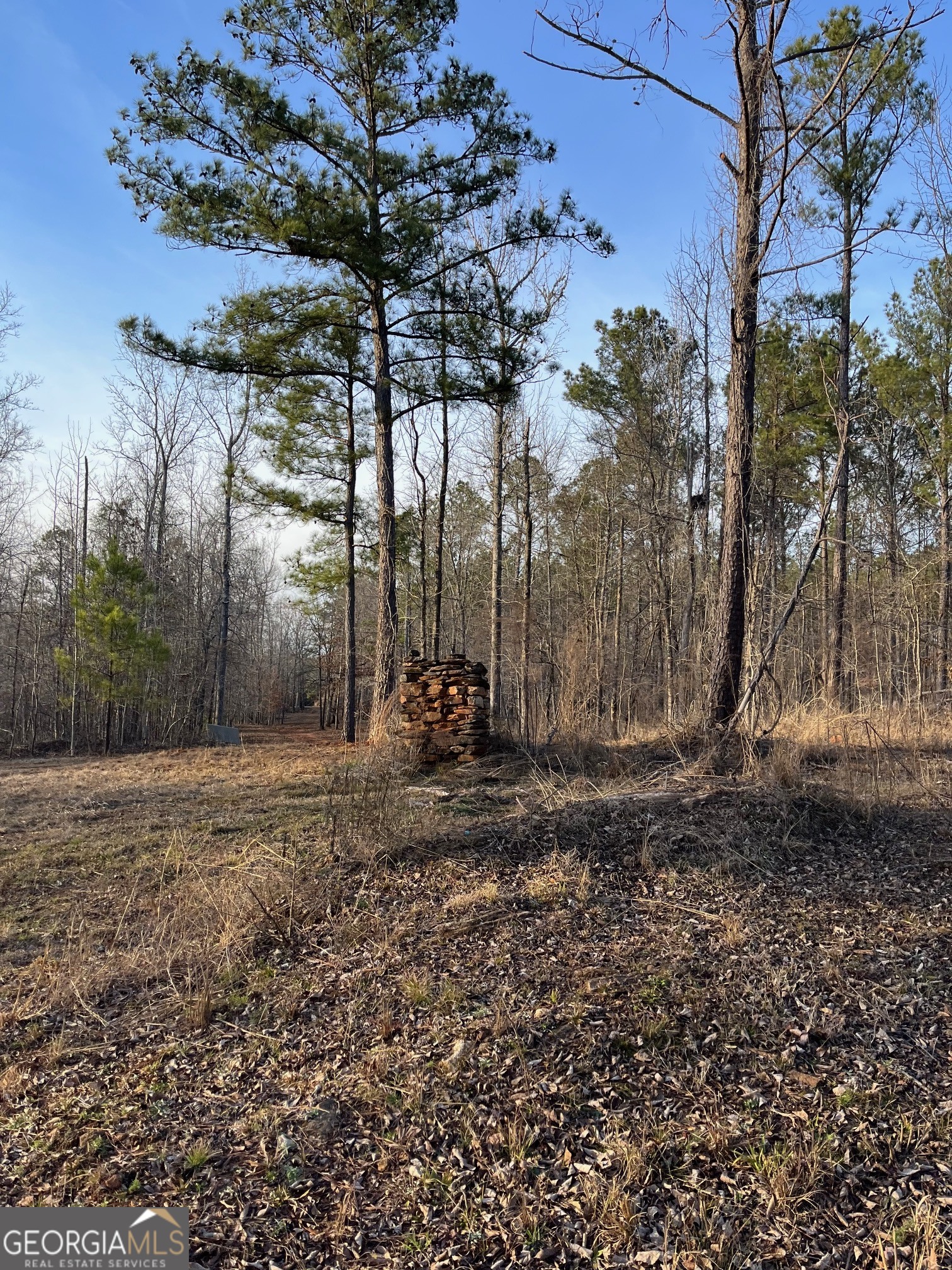 0 Ellis Church Road Haddock GA 31033