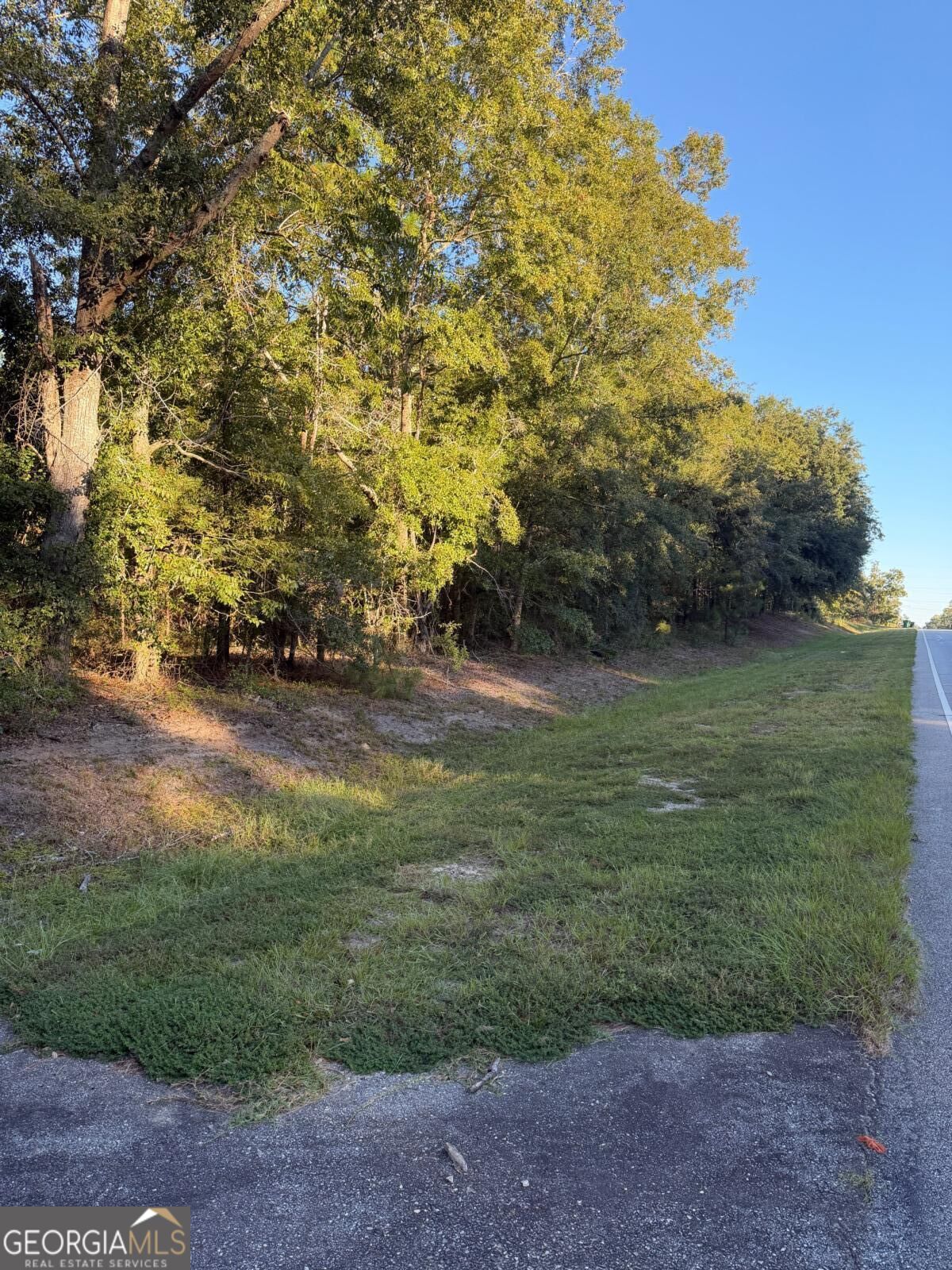 0 Hwy 1 N Swainsboro GA 30401