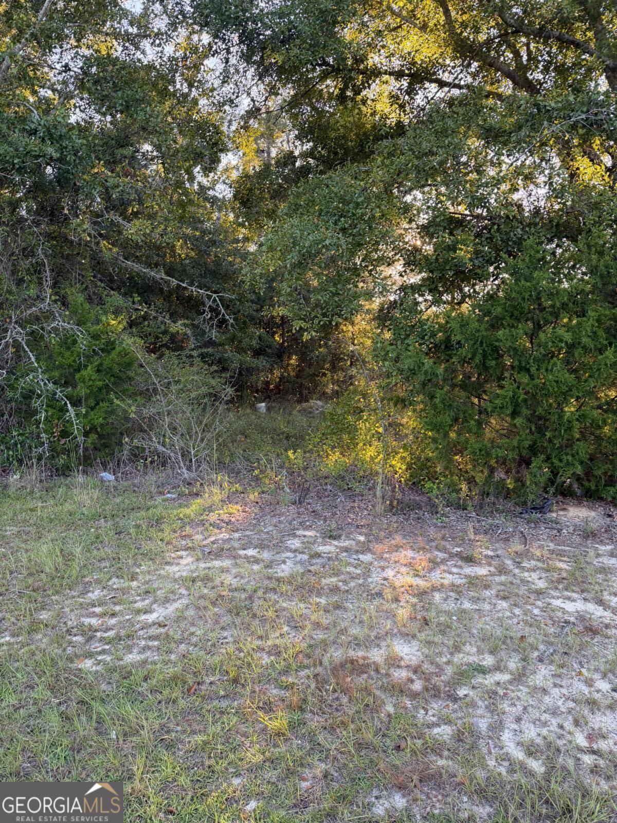 0 Hwy 1 N Swainsboro GA 30401