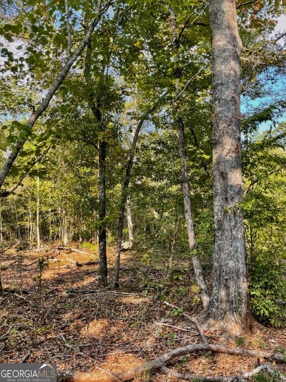 0 E Highway 36 Jackson GA 30233
