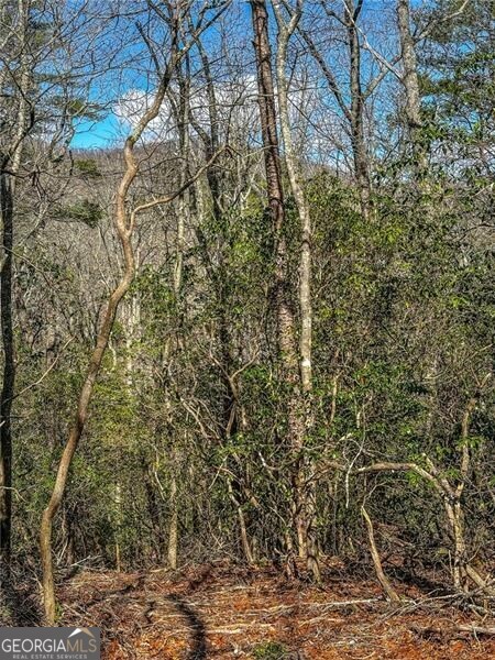 0 Ts Jarrard Road Dahlonega GA 30533