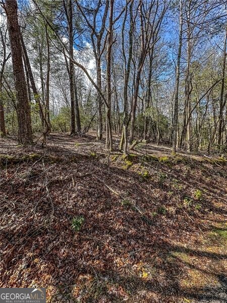 0 Ts Jarrard Road Dahlonega GA 30533