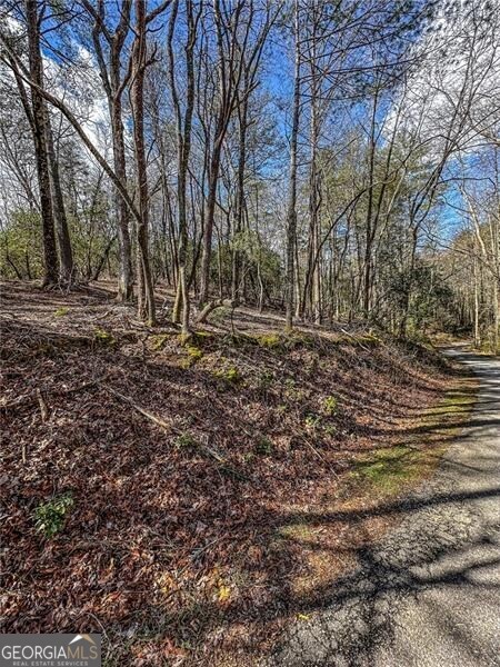 0 Ts Jarrard Road Dahlonega GA 30533