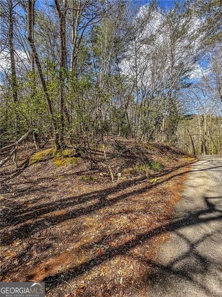 0 Ts Jarrard Road Dahlonega GA 30533