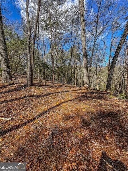 0 Ts Jarrard Road Dahlonega GA 30533