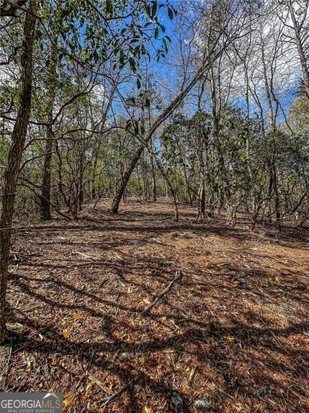 0 Ts Jarrard Road Dahlonega GA 30533