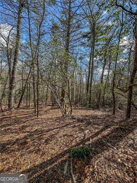 0 Ts Jarrard Road Dahlonega GA 30533