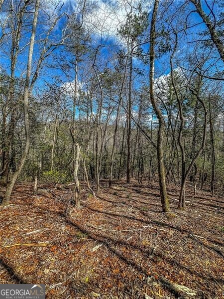 0 Ts Jarrard Road Dahlonega GA 30533