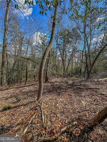 0 Ts Jarrard Road Dahlonega GA 30533