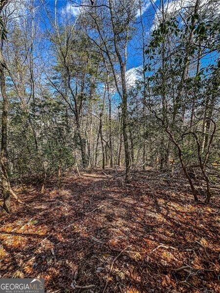 0 Ts Jarrard Road Dahlonega GA 30533