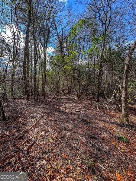 0 Ts Jarrard Road Dahlonega GA 30533
